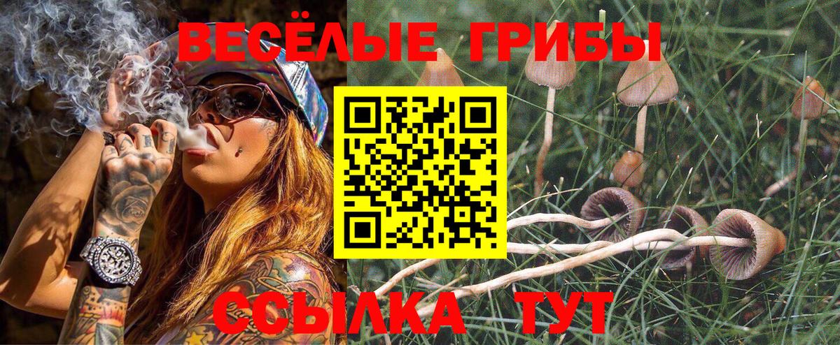 Галлюциногенные грибы мухоморы Люберцы
